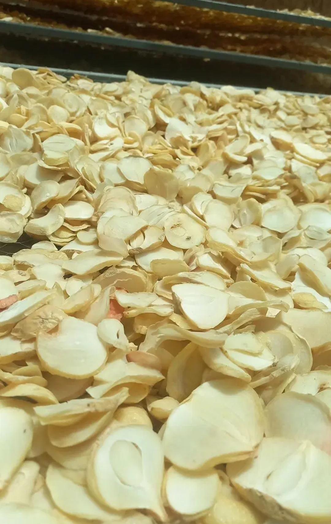 پلاک موسیر درجه یک